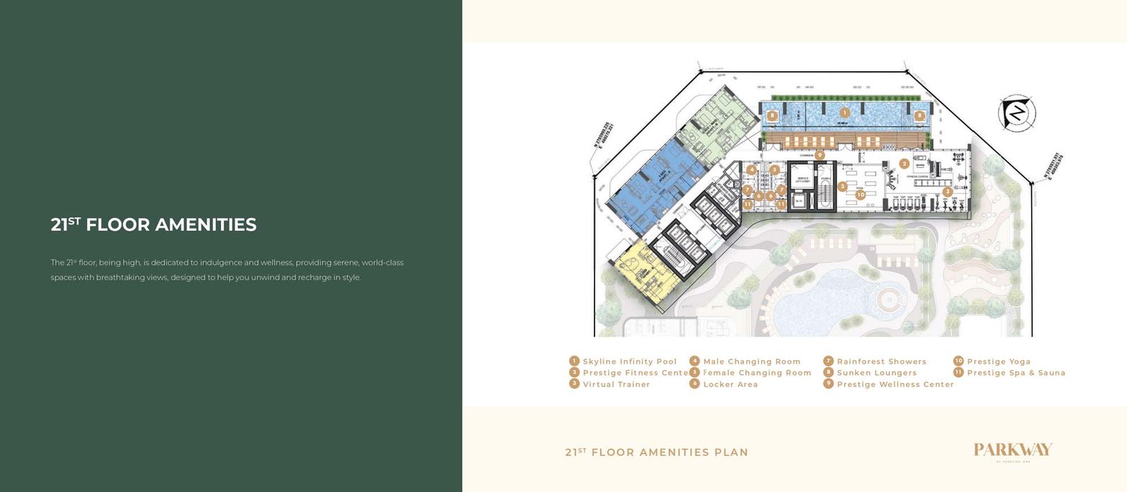 Layout Plan floor plan
