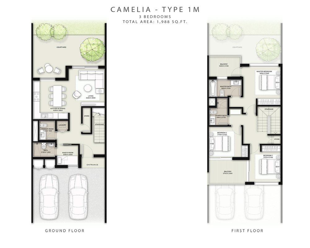 3 Bedrooms floor plan